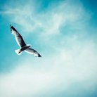 breakfree-sarusinghal