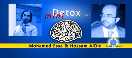 mohamed essa mini detox plus